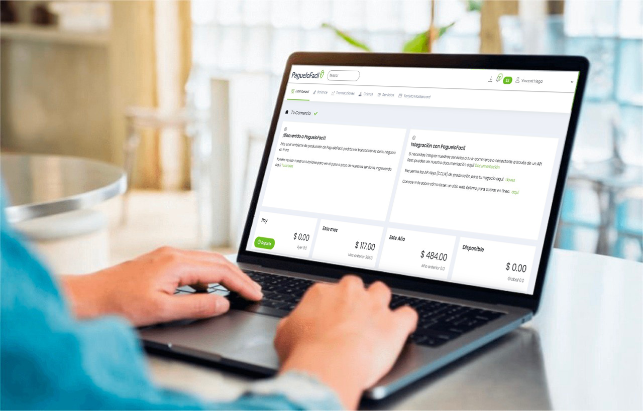 Balance de dinero en la plataforma de paguelofacil